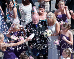 This is photograph number  100423_D3A2819