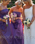 This is photograph number  100423_D3A2931