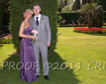 This is photograph number  100423_D3A2941