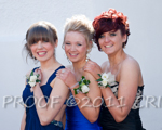 This is photograph number  110610_D3A6530